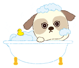 Shih Tzu Marlon daily life sticker sticker #993759