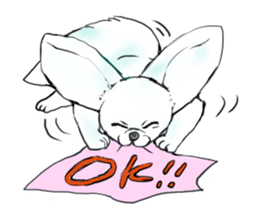 fennec fox"FUNII" sticker #994212