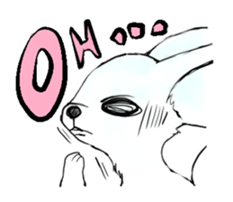 fennec fox"FUNII" sticker #994220