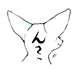 fennec fox"FUNII" sticker #994223