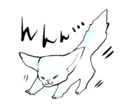 fennec fox"FUNII" sticker #994224
