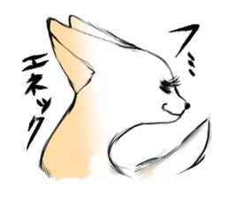 fennec fox"FUNII" sticker #994228