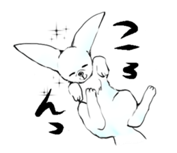 fennec fox"FUNII" sticker #994238