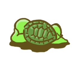 Sea turtle U-san! sticker #998329