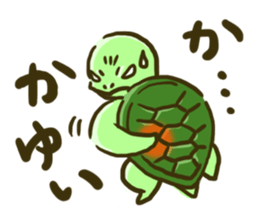 Sea turtle U-san! sticker #998347