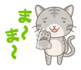 Day-to-day sticker for AmericanShorthair sticker #999690