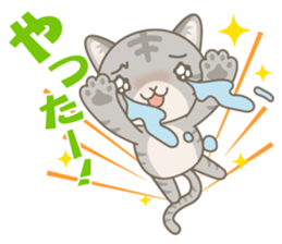 Day-to-day sticker for AmericanShorthair sticker #999708