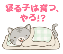 Day-to-day sticker for AmericanShorthair sticker #999714