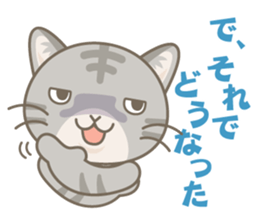 Day-to-day sticker for AmericanShorthair sticker #999722