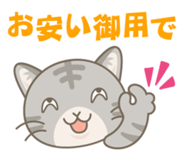 Day-to-day sticker for AmericanShorthair sticker #999725