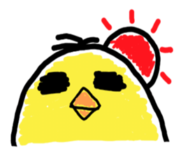 pipi chick sticker #1001094