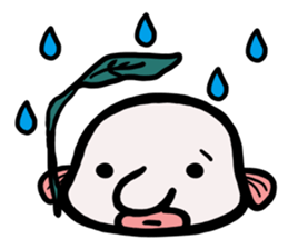 a deep-sea fish*Psychrolutes phrictus sticker #1001464