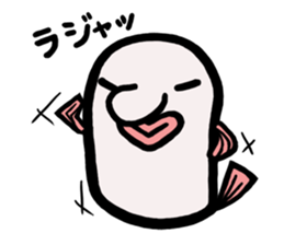 a deep-sea fish*Psychrolutes phrictus sticker #1001477