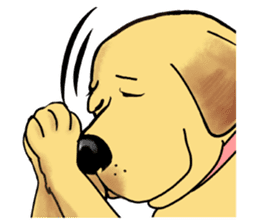 It is a Labrador sticker #1001562