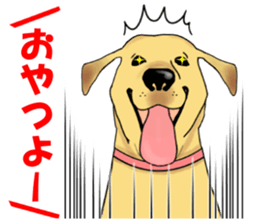 It is a Labrador sticker #1001563