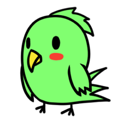 Parakeet kotoko