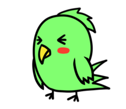 Parakeet kotoko sticker #1003689