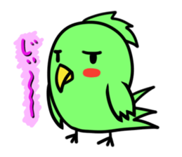 Parakeet kotoko sticker #1003692