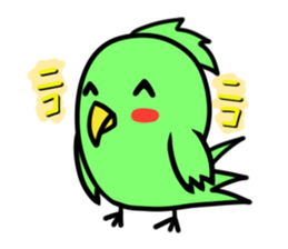 Parakeet kotoko sticker #1003694