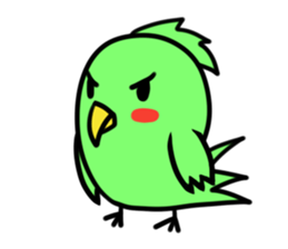 Parakeet kotoko sticker #1003695