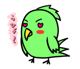 Parakeet kotoko sticker #1003697