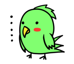 Parakeet kotoko sticker #1003698