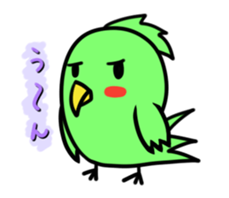 Parakeet kotoko sticker #1003699