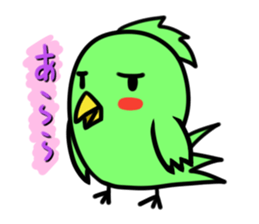 Parakeet kotoko sticker #1003703