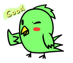 Parakeet kotoko sticker #1003706