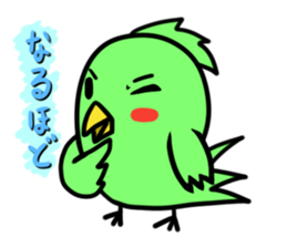 Parakeet kotoko sticker #1003707