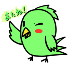 Parakeet kotoko sticker #1003710
