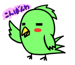 Parakeet kotoko sticker #1003712
