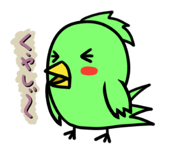 Parakeet kotoko sticker #1003716