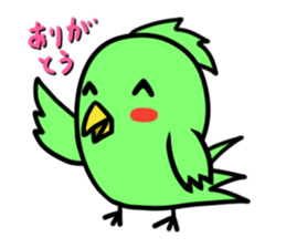 Parakeet kotoko sticker #1003726