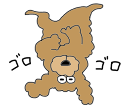 Funny poodle like a human. sticker #1005031