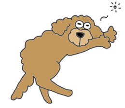 Funny poodle like a human. sticker #1005032