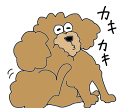 Funny poodle like a human. sticker #1005035