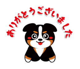 bani-cyan.-2 BMD sticker #1005217
