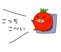 TOMATON(Tomato&Pig) sticker #1009259