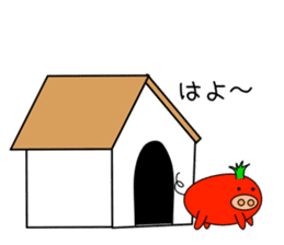 TOMATON(Tomato&Pig) sticker #1009261