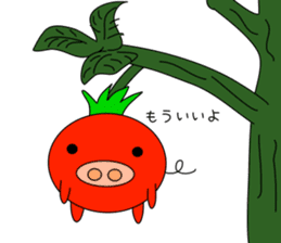 TOMATON(Tomato&Pig) sticker #1009284