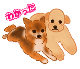 Dogs live seaside sticker #1009457