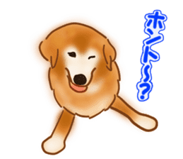 Dogs live seaside sticker #1009468