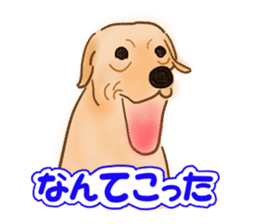 Dogs live seaside sticker #1009471