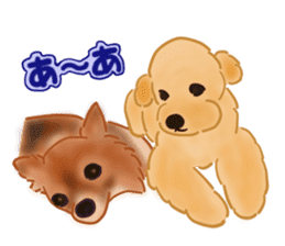 Dogs live seaside sticker #1009475