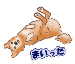 Dogs live seaside sticker #1009478