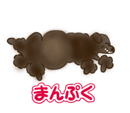 Dogs live seaside sticker #1009486