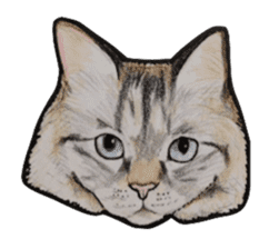 CAT Sticker 2 sticker #1009954