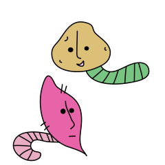 Potato and sweet potato worms