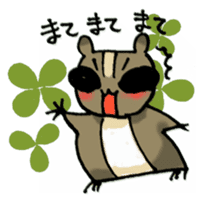 Siro Kuro clover sticker #1010867